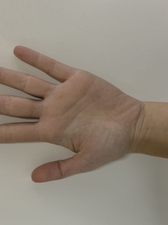 Model Michelle 54072