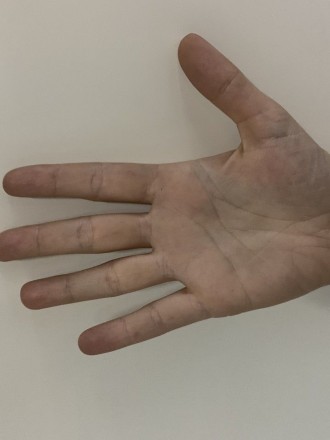 Model Michelle 54072