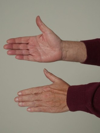 Model Martinus 63349