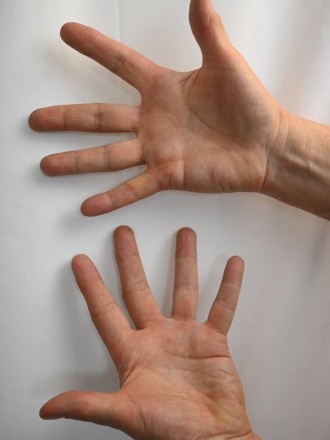 Model Karl-Heinz 64039