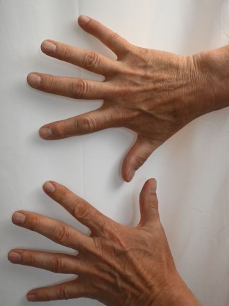 Model Karl-Heinz 64039