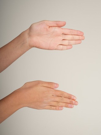 Model Jingfang 72151