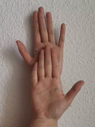 Model Jingfang 72151