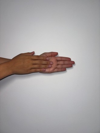 Model Theresia Sofie 73498