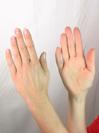 Model Susanne Hanka 75807