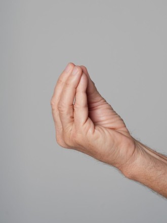 Model Alexander  78110