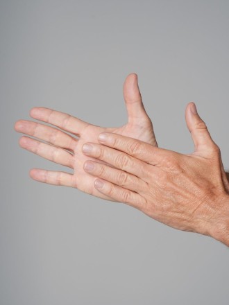 Model Alexander  78110