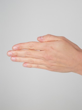 Model Sofia Luz 80154