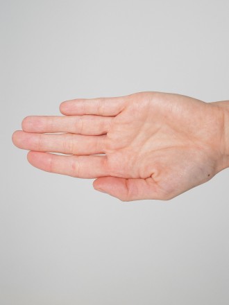 Model Sofia Luz 80154