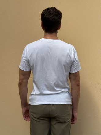 Model Alexander 80663