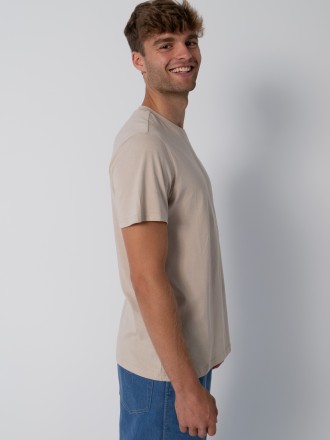 Model Paul 85317